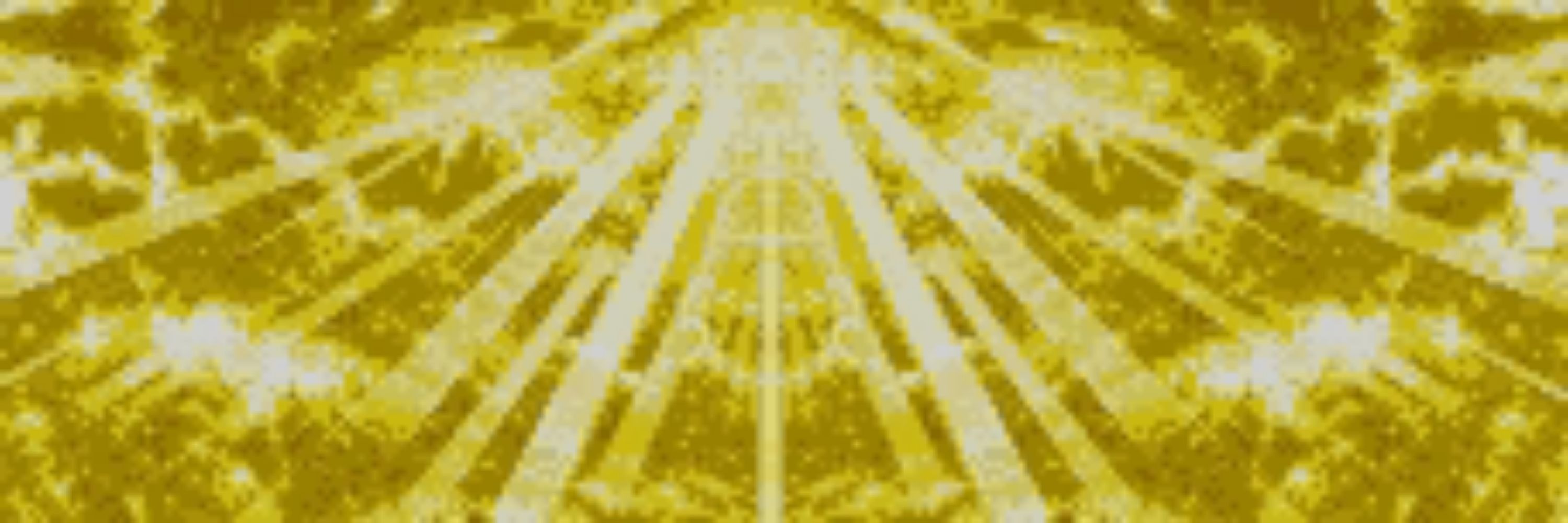 VisionCrypt 
