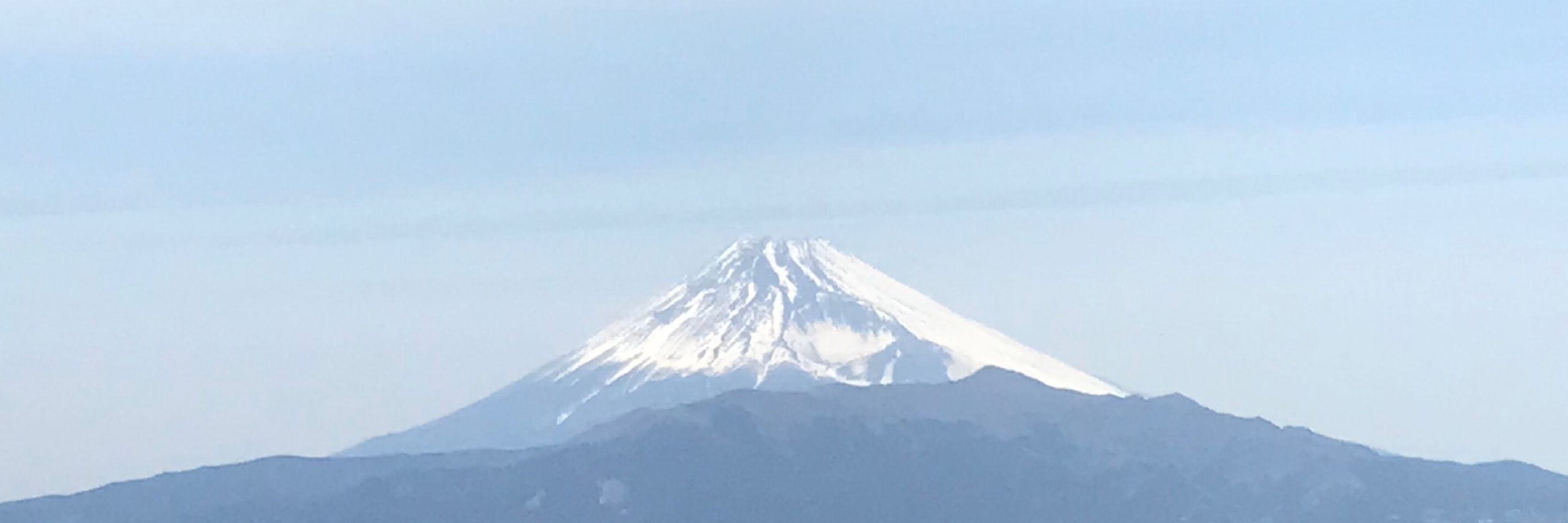 トビエイ