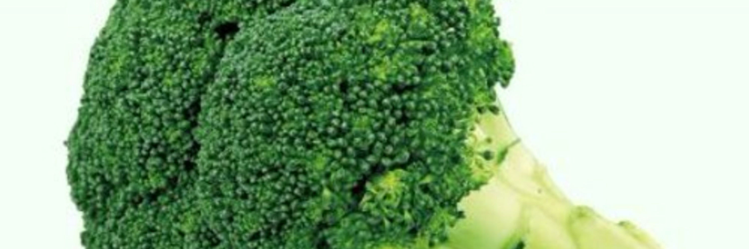 Brocoli Sympa