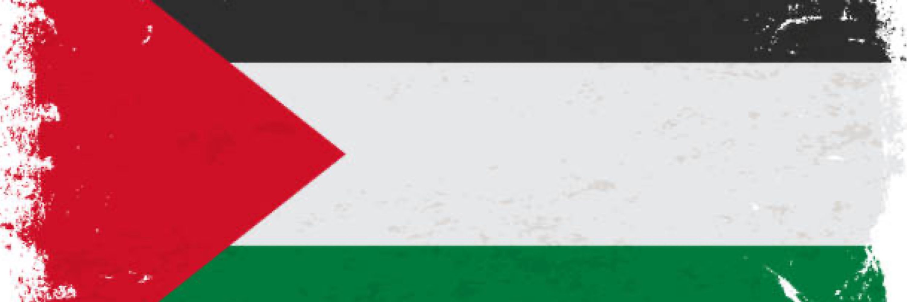 Mohammed in Gaza🇵🇸🍉🫒🕊️