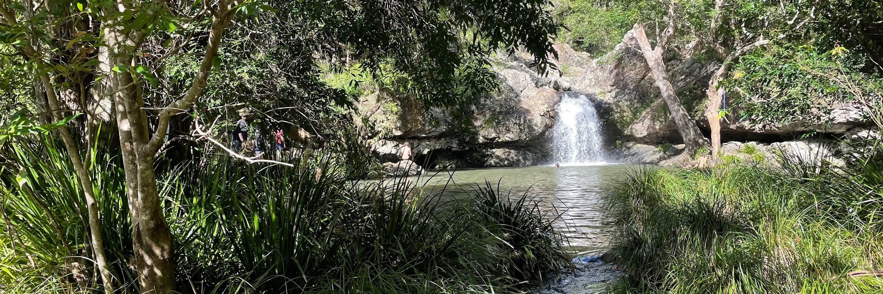 View News Sunshine Coast