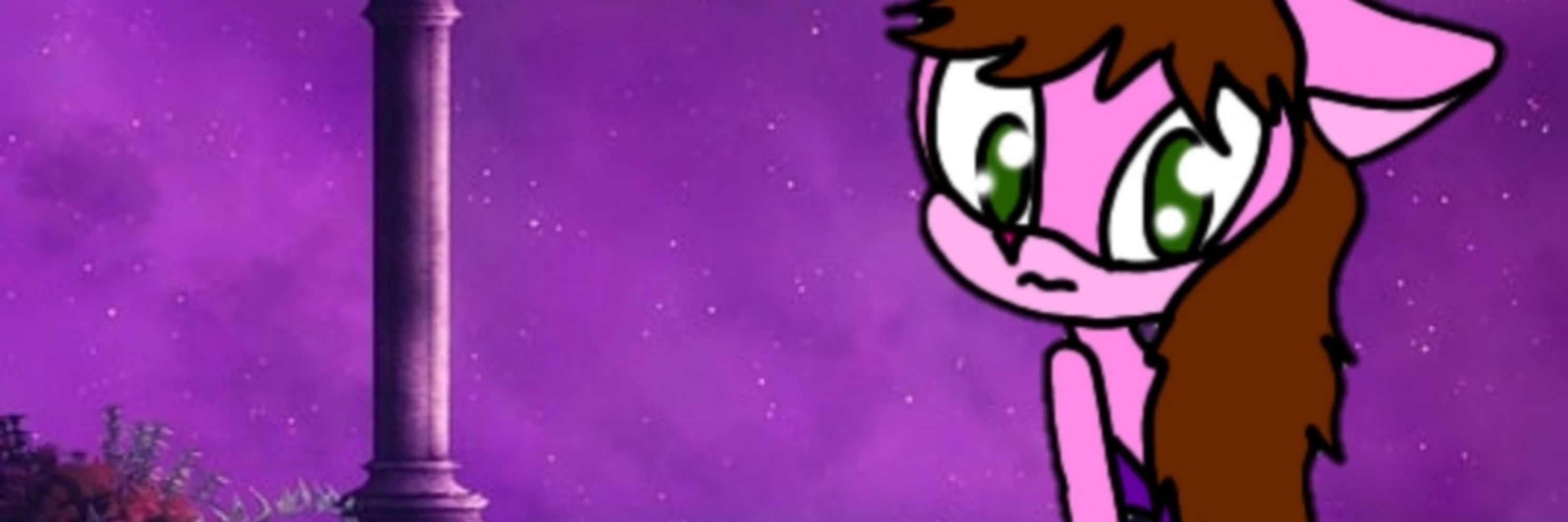 Becca the cat