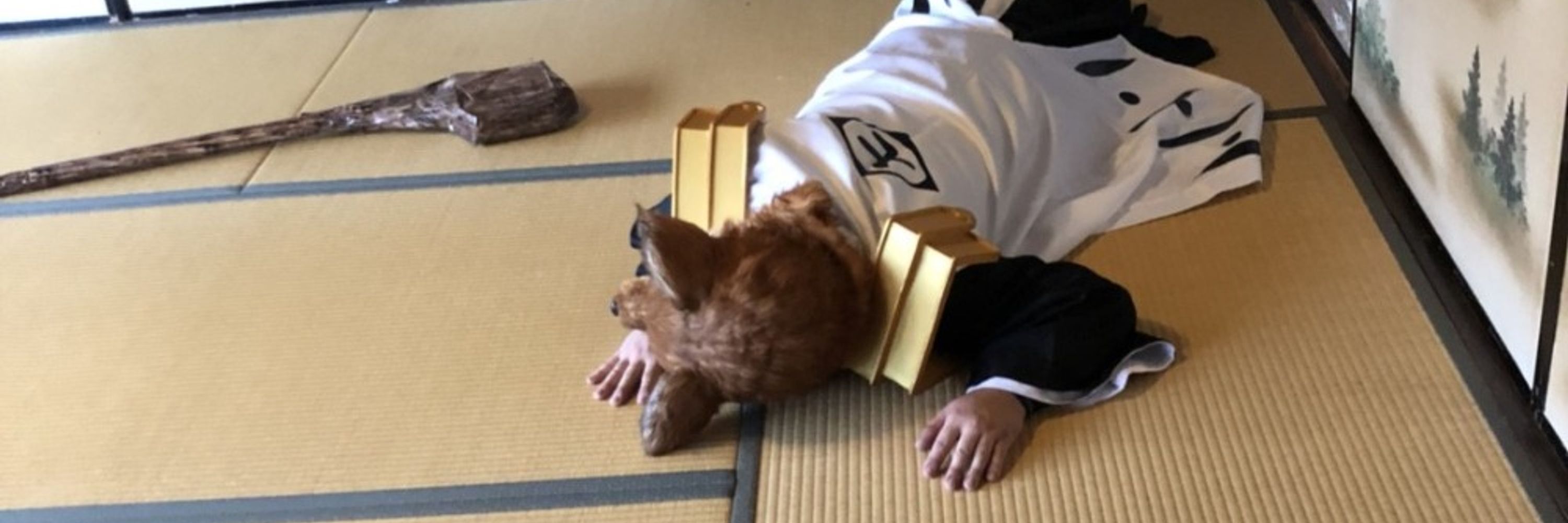 LAP