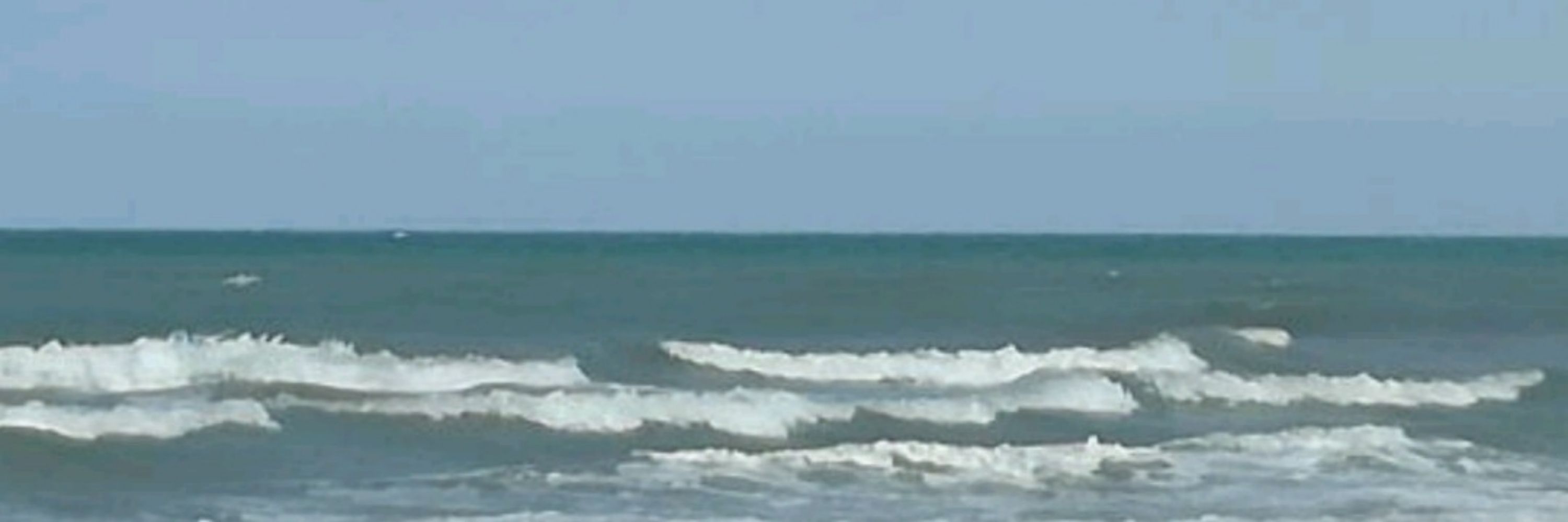 austrasirius