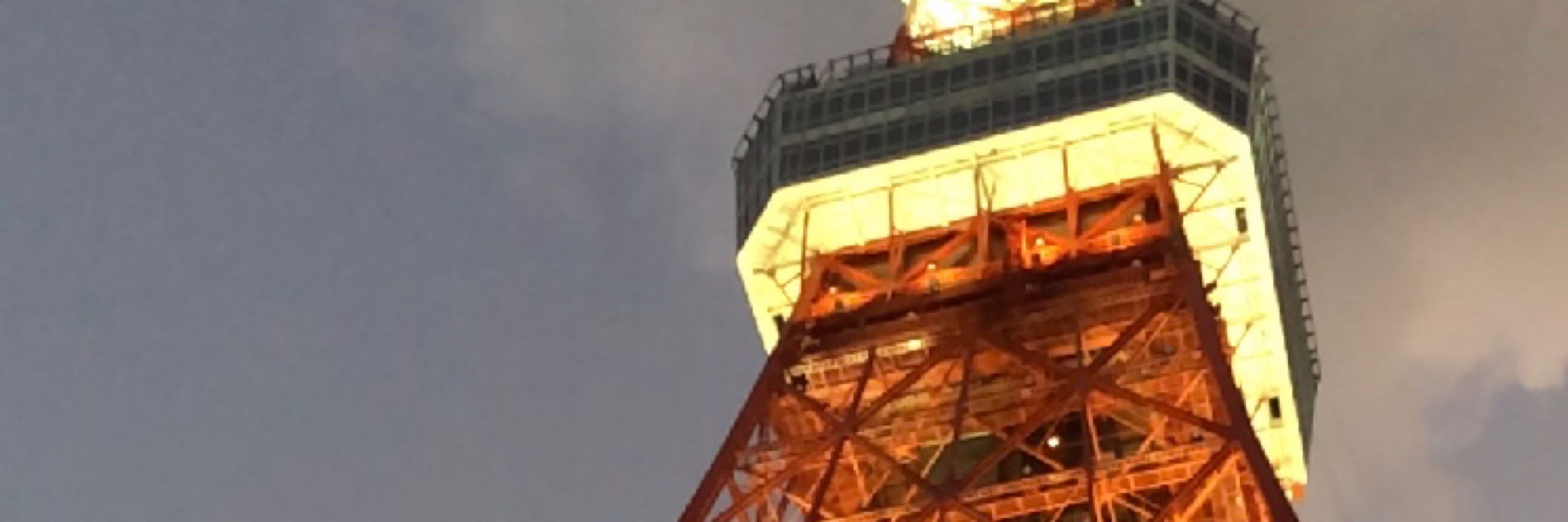 はまなす