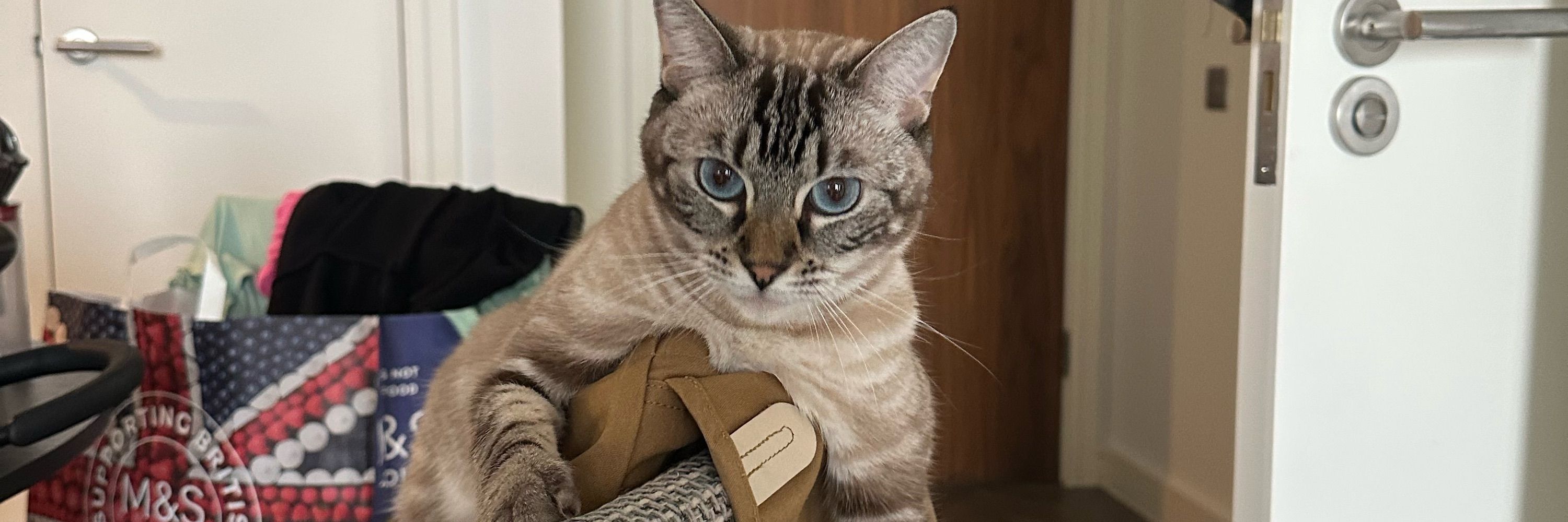 Tom