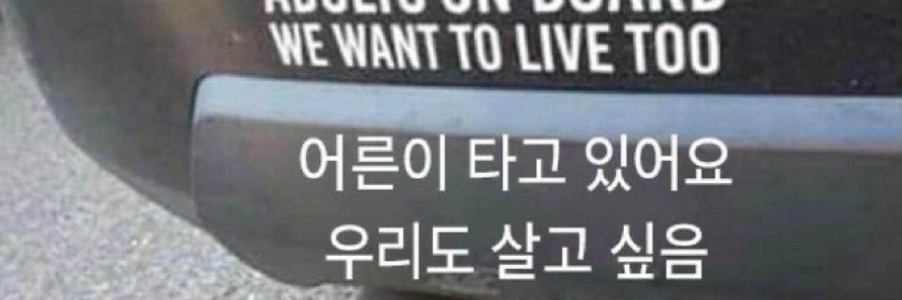 최정령
