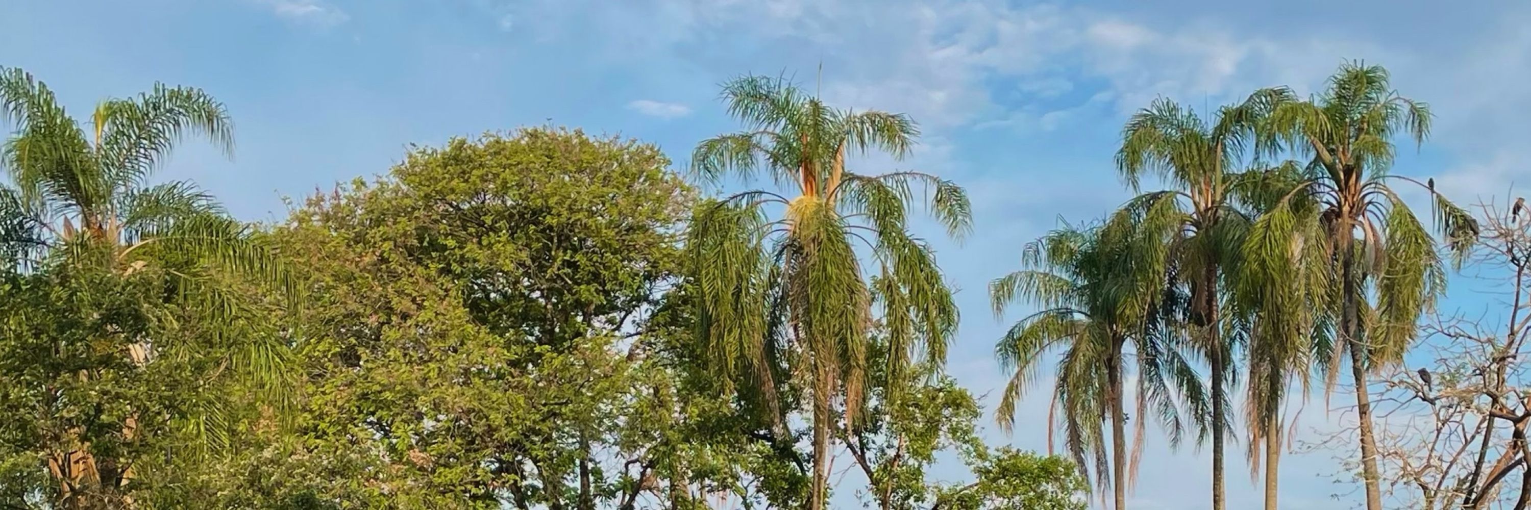 Eve do céu…