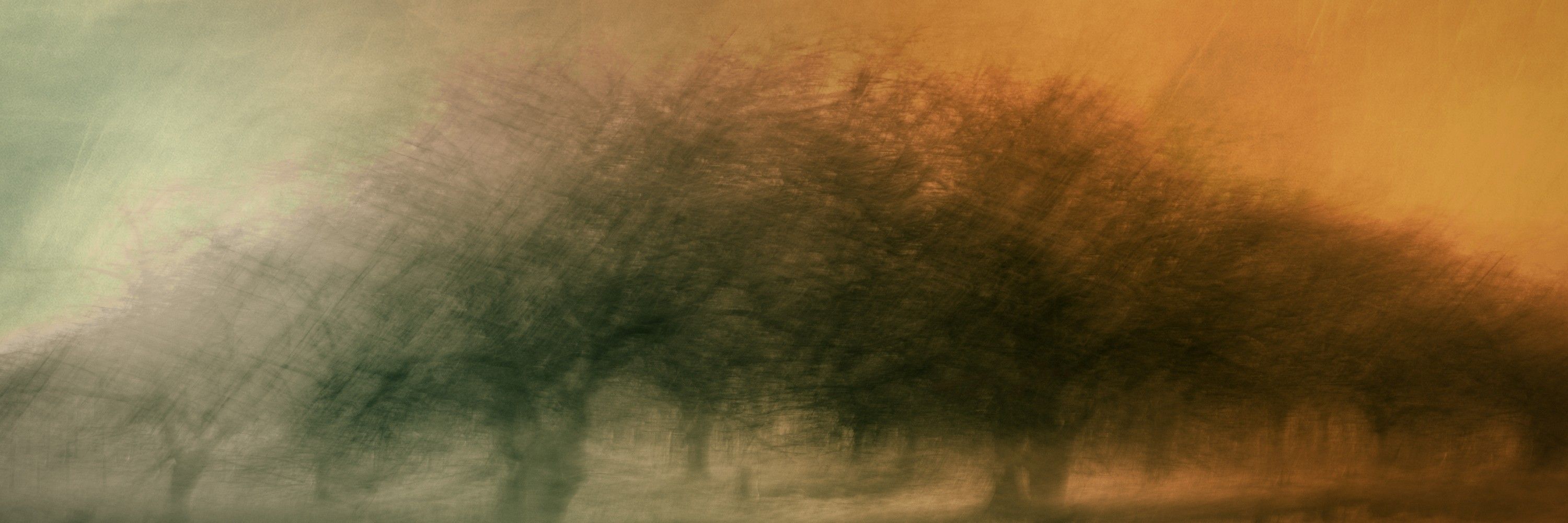 Daniel Green