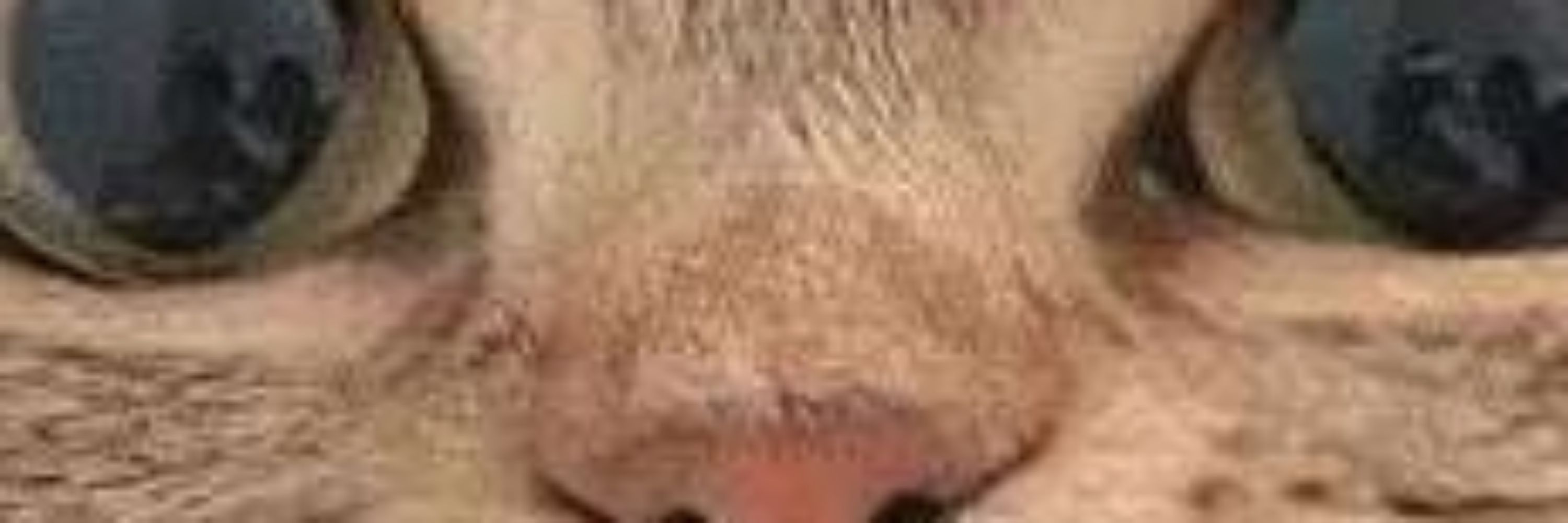 Aaron