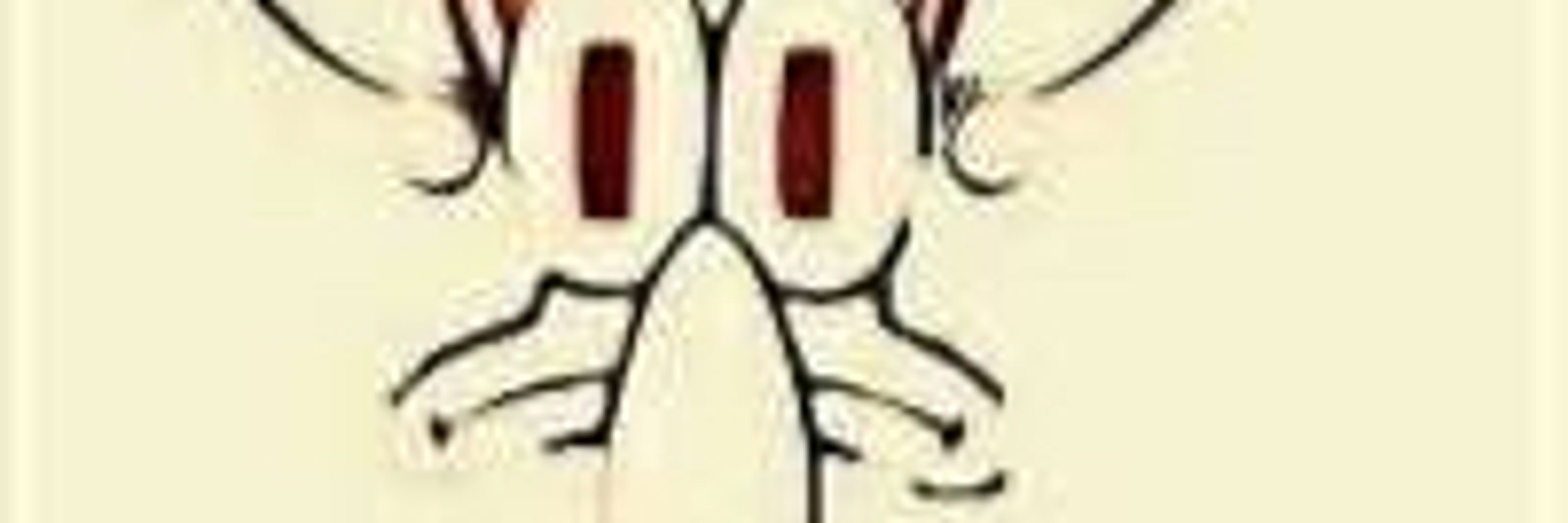 JACK 2
