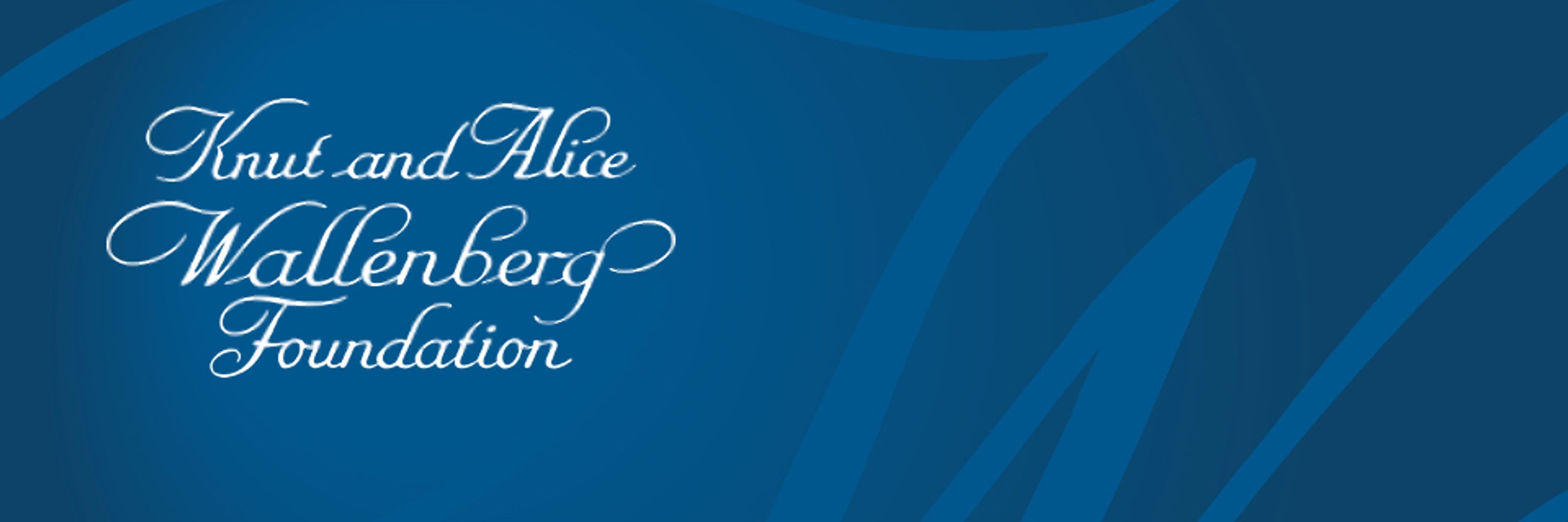 Knut and Alice Wallenberg Foundation