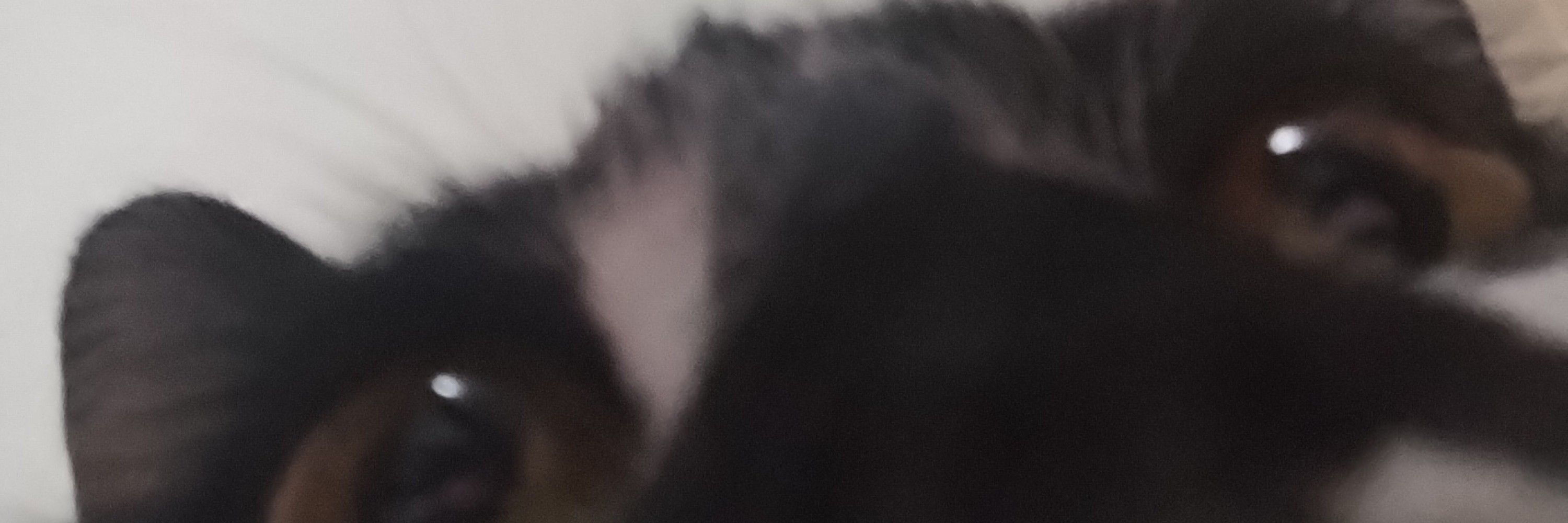 e se?
