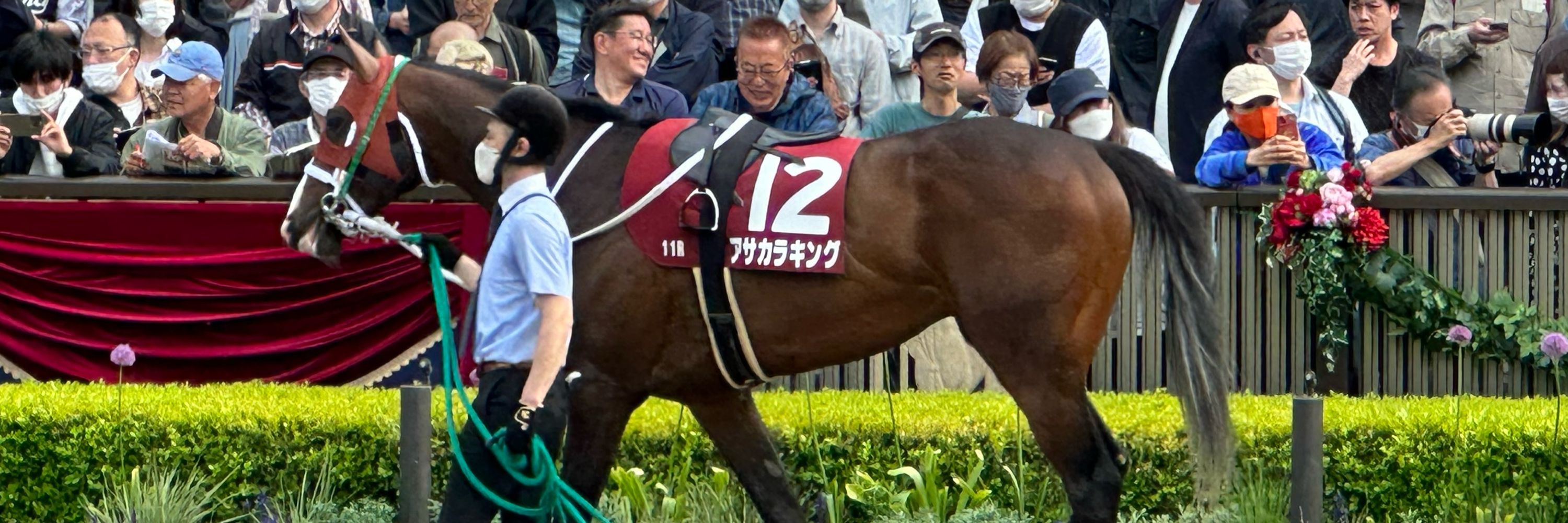 むねちか
