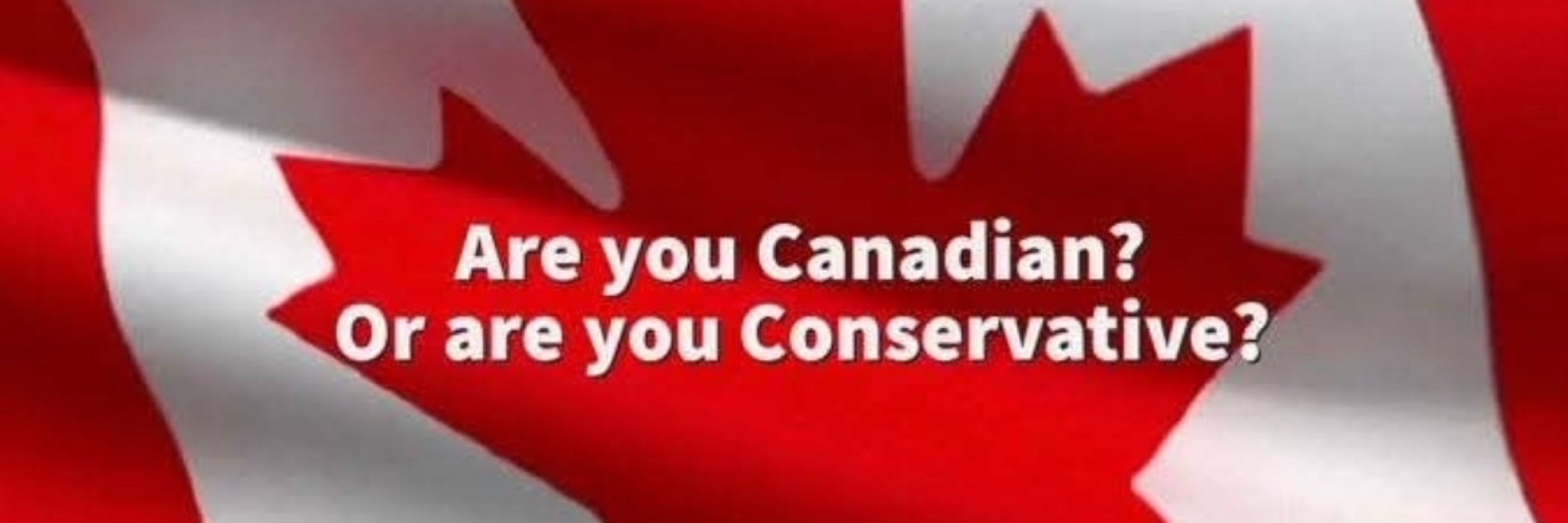 🇨🇦🍁PrairieCat🍁🇨🇦