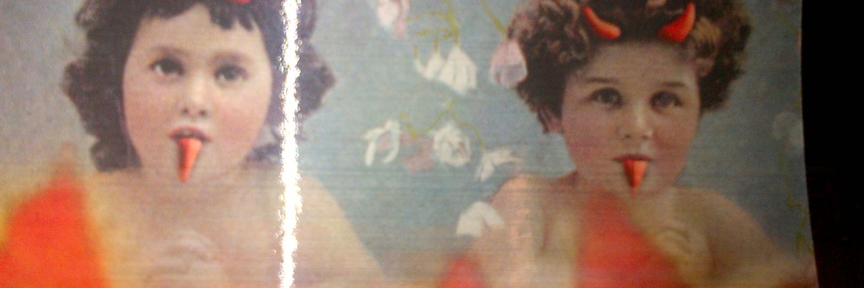 Rosa Bosch