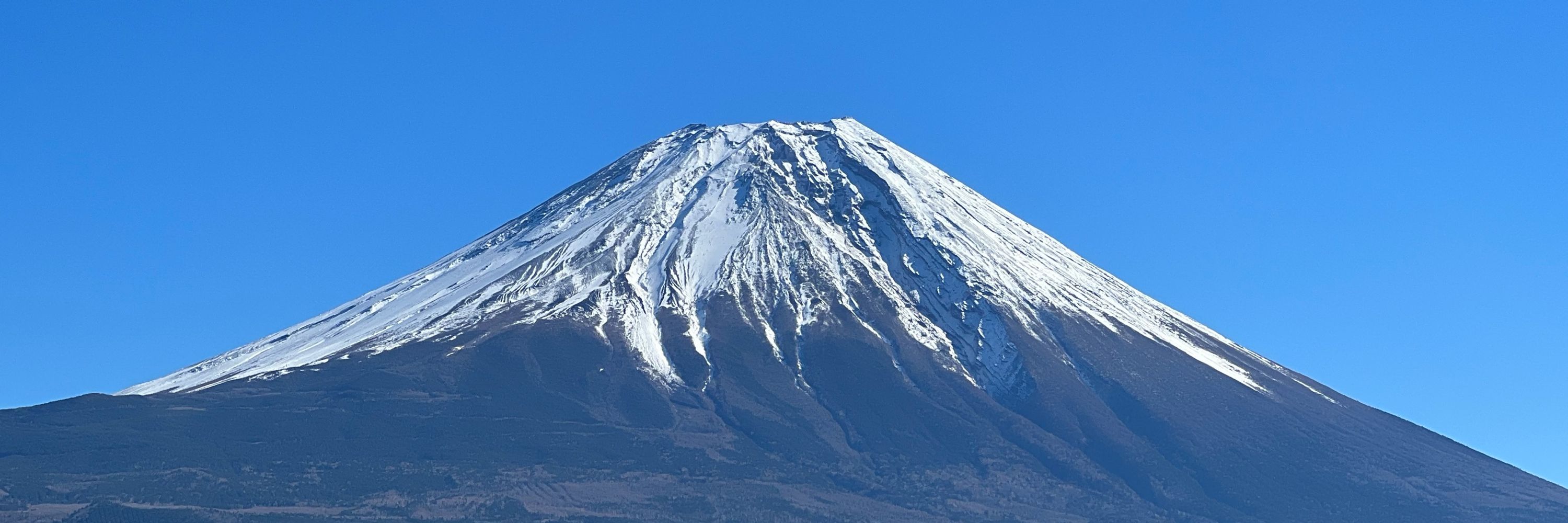 らびたろ