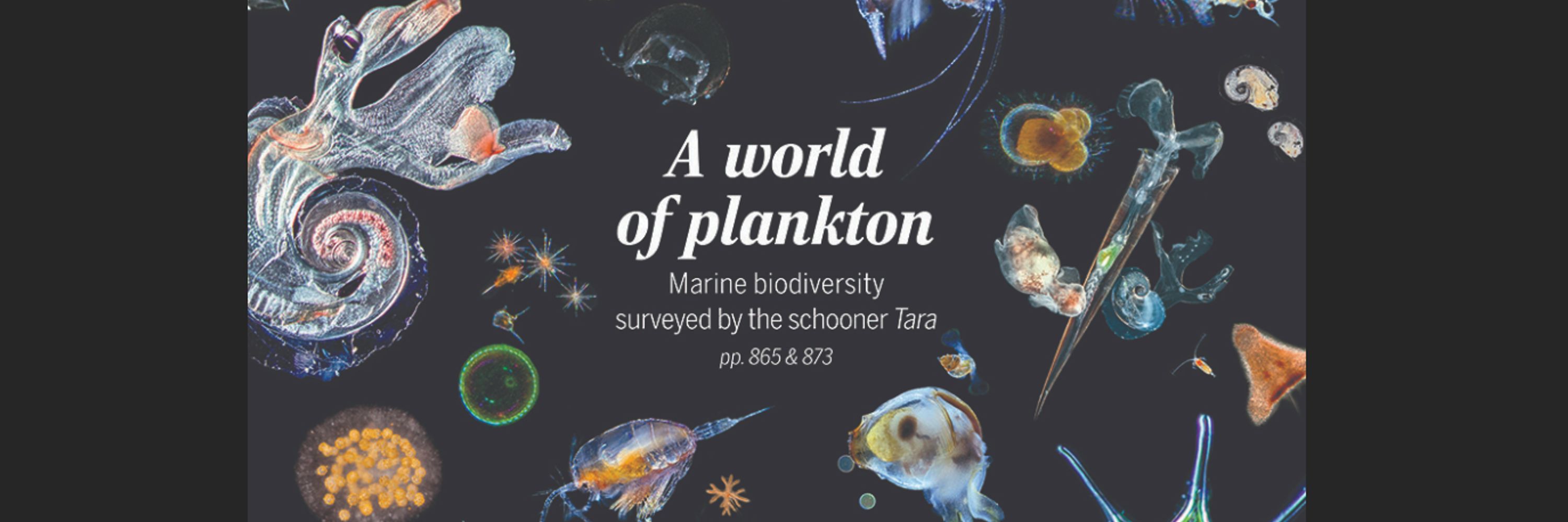 Tara Oceans Science