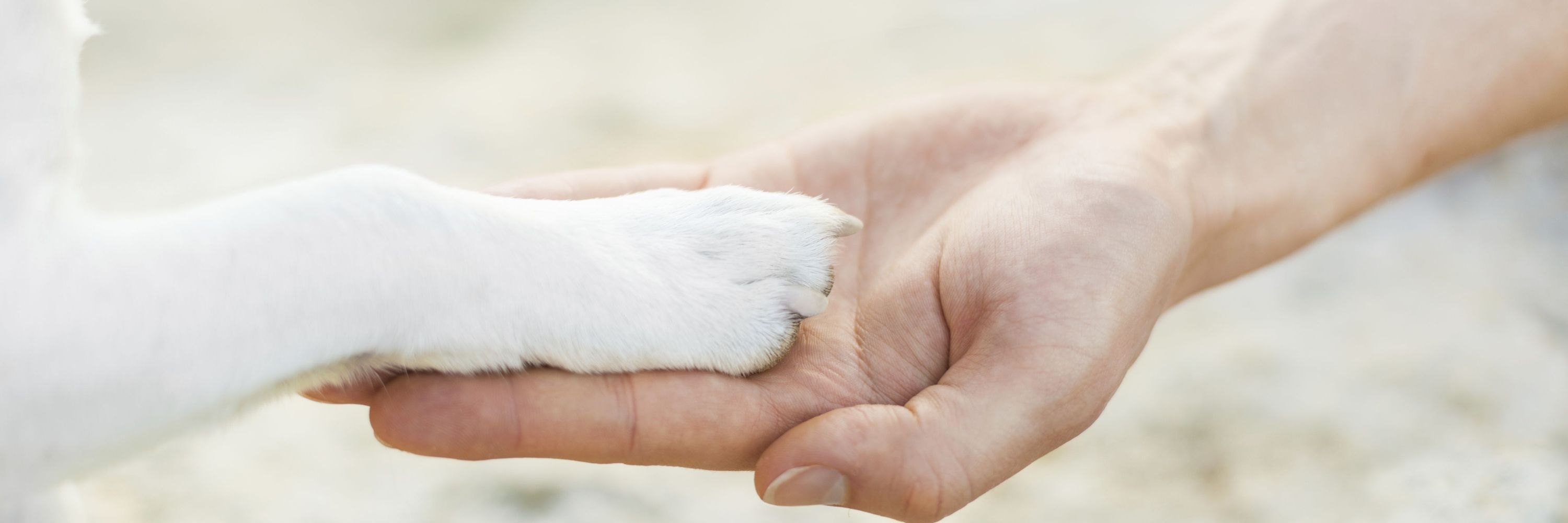 Oregon Veterinary Medical Association
