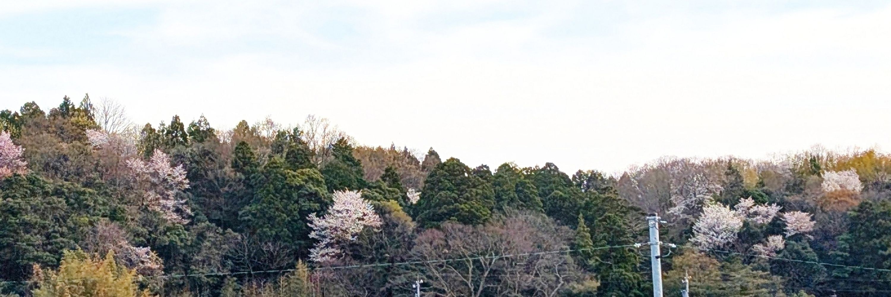 天埜