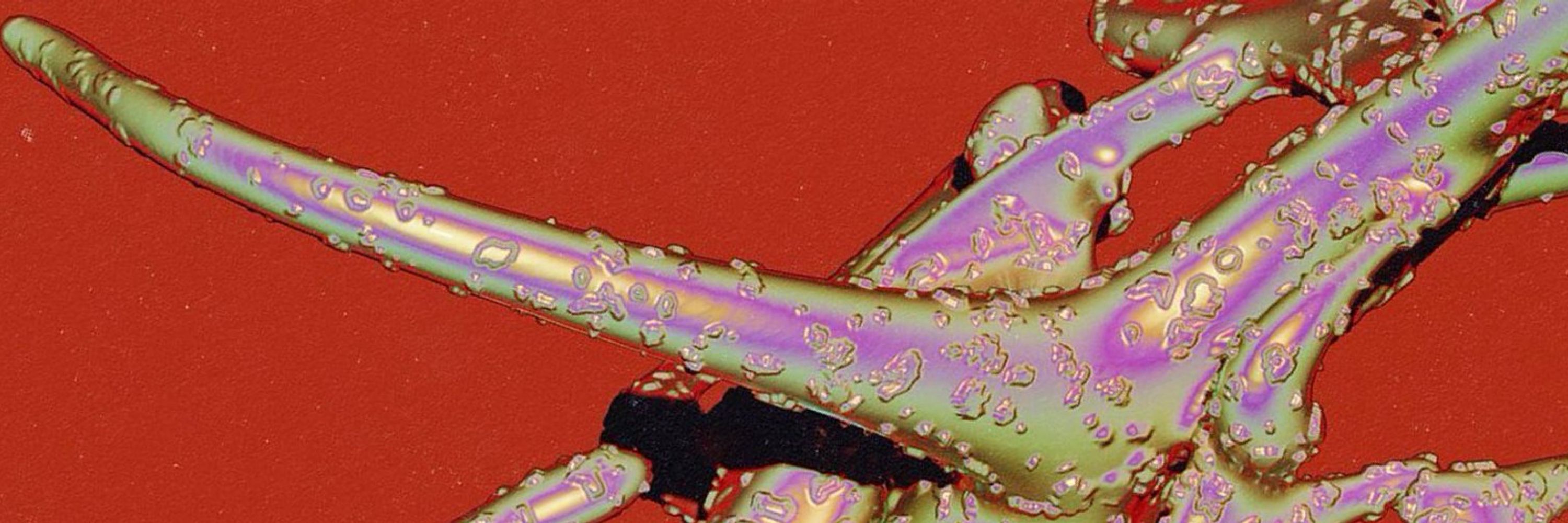 N † ¢ •