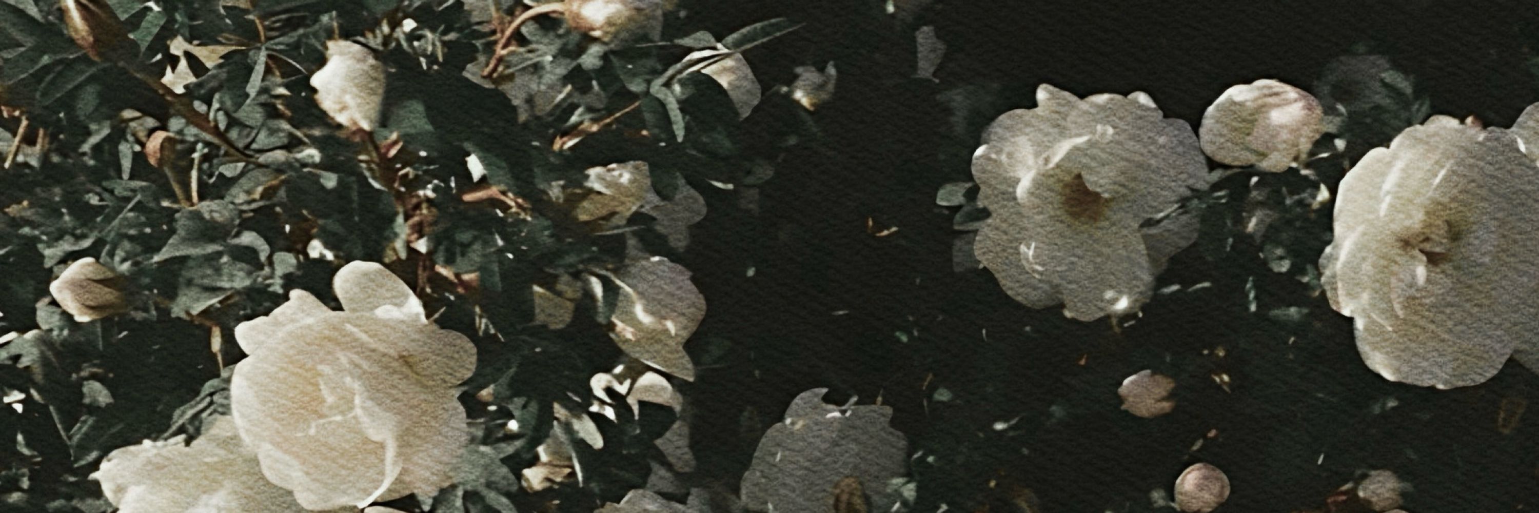 𝑏𝗂𝗅𝗅𝗂𝖾𝑒𝗂𝗅𝗂𝗌ℎ.