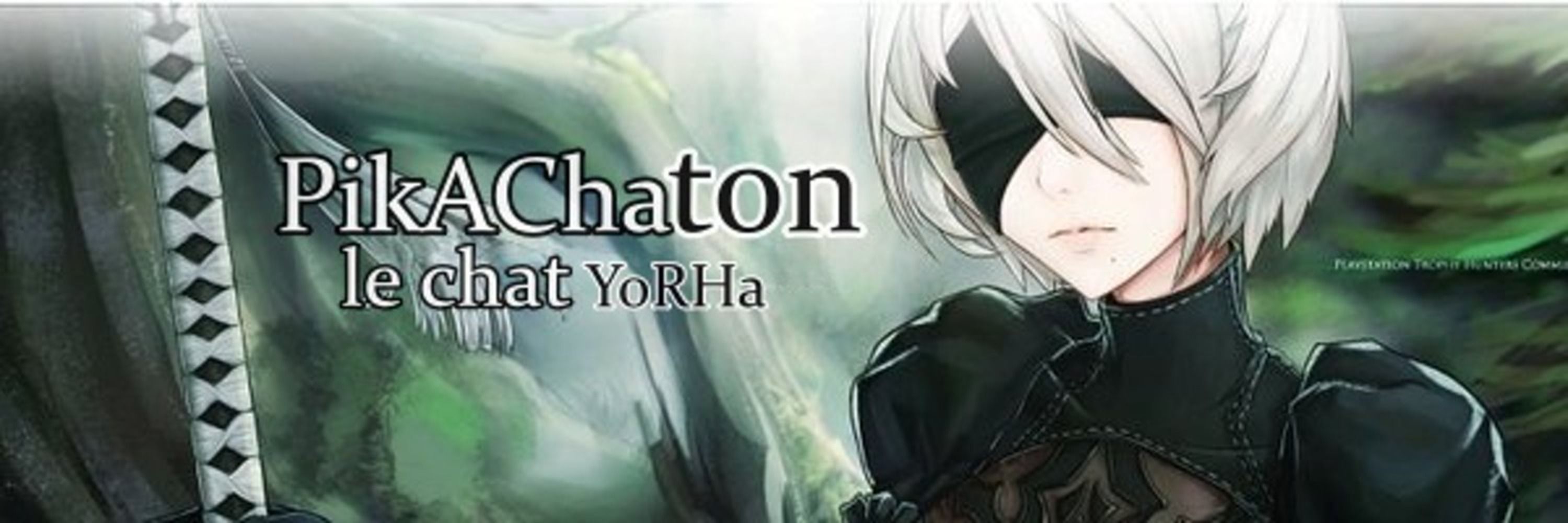 Pikachaton le chat YoRHa