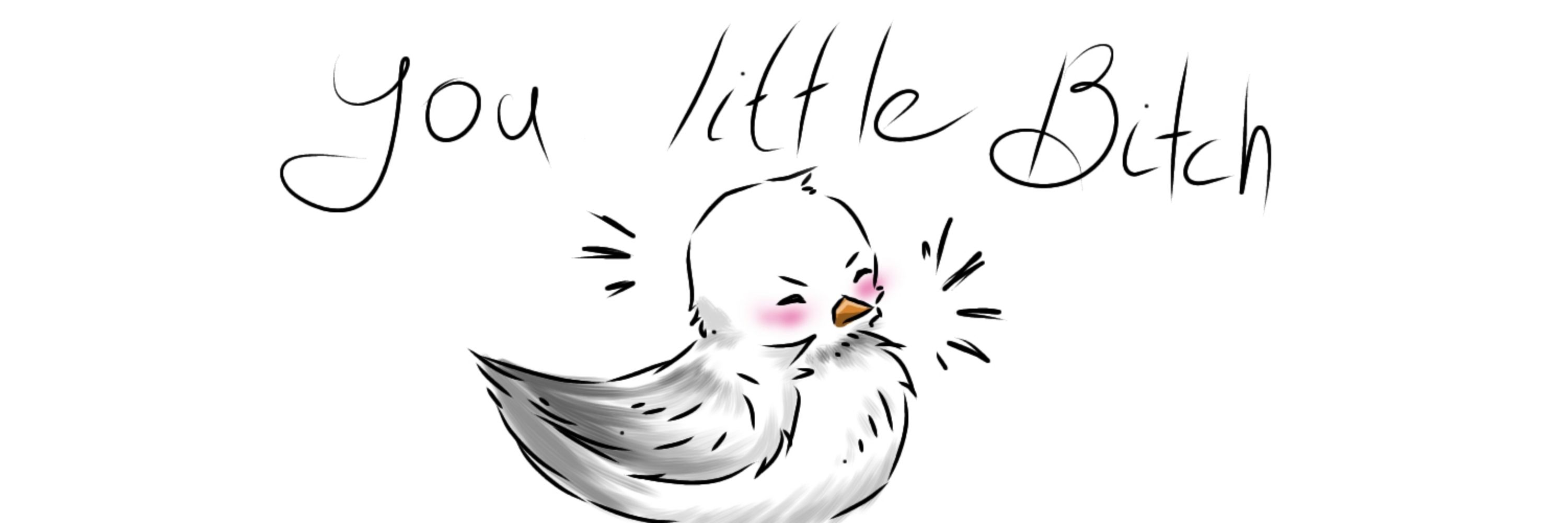 Seabird