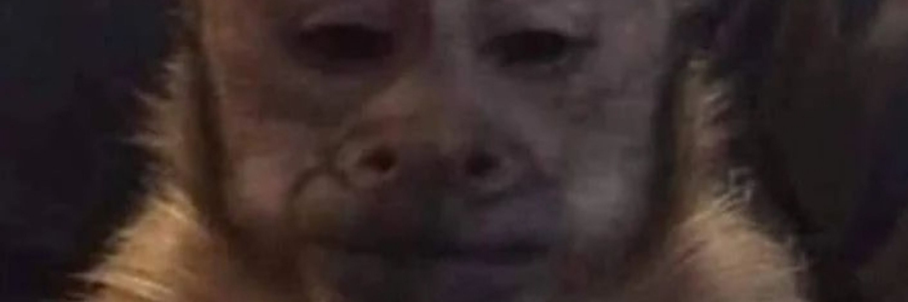 Keks