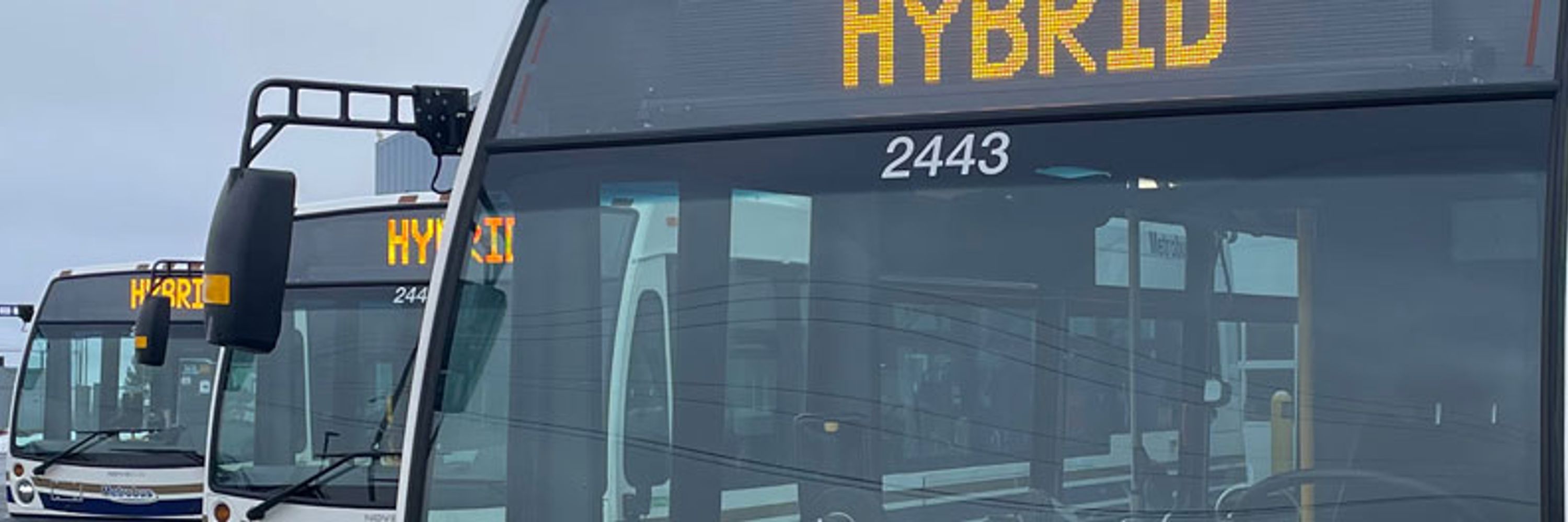 Metrobus
