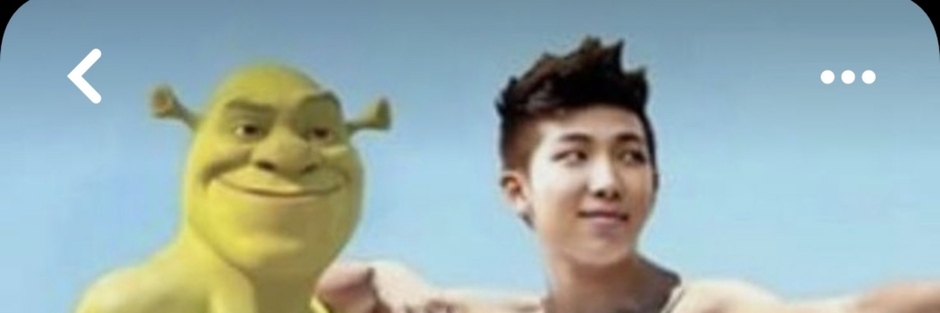 Animation _X