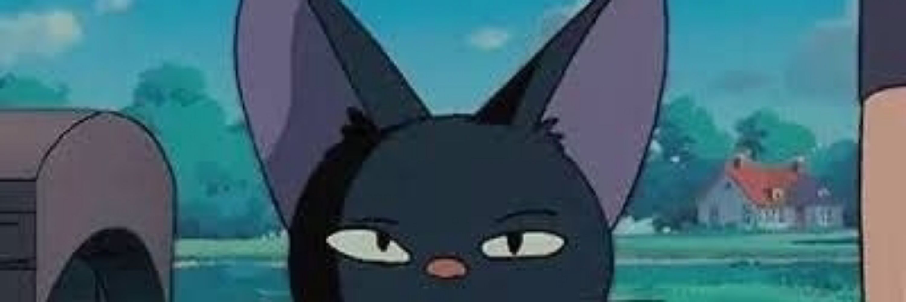 n.
