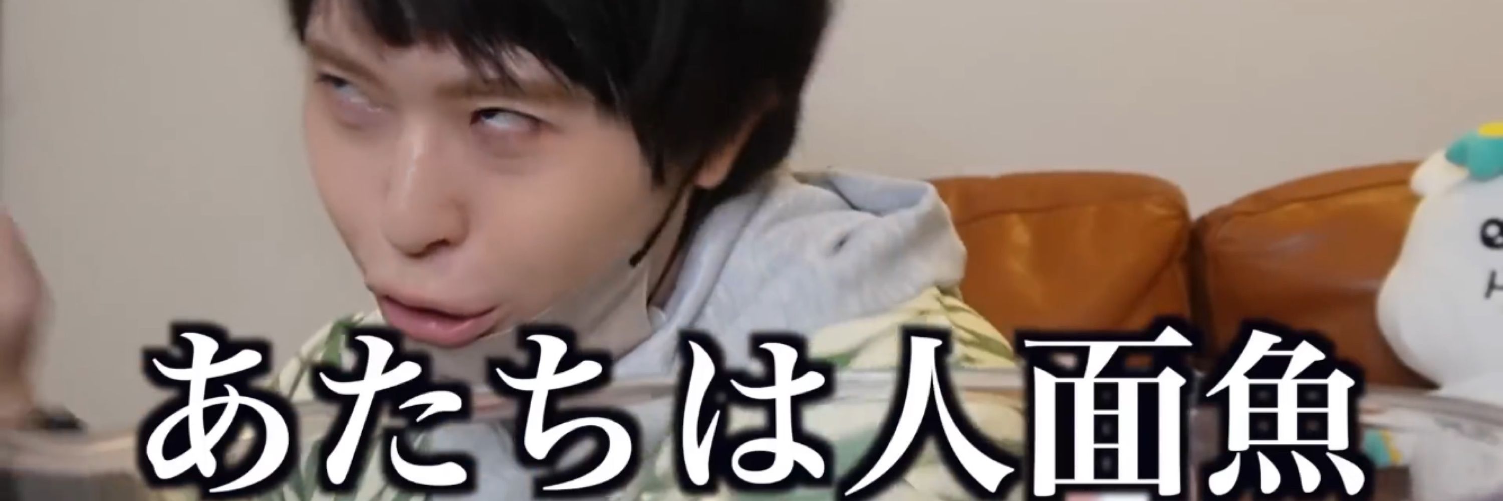 こあ