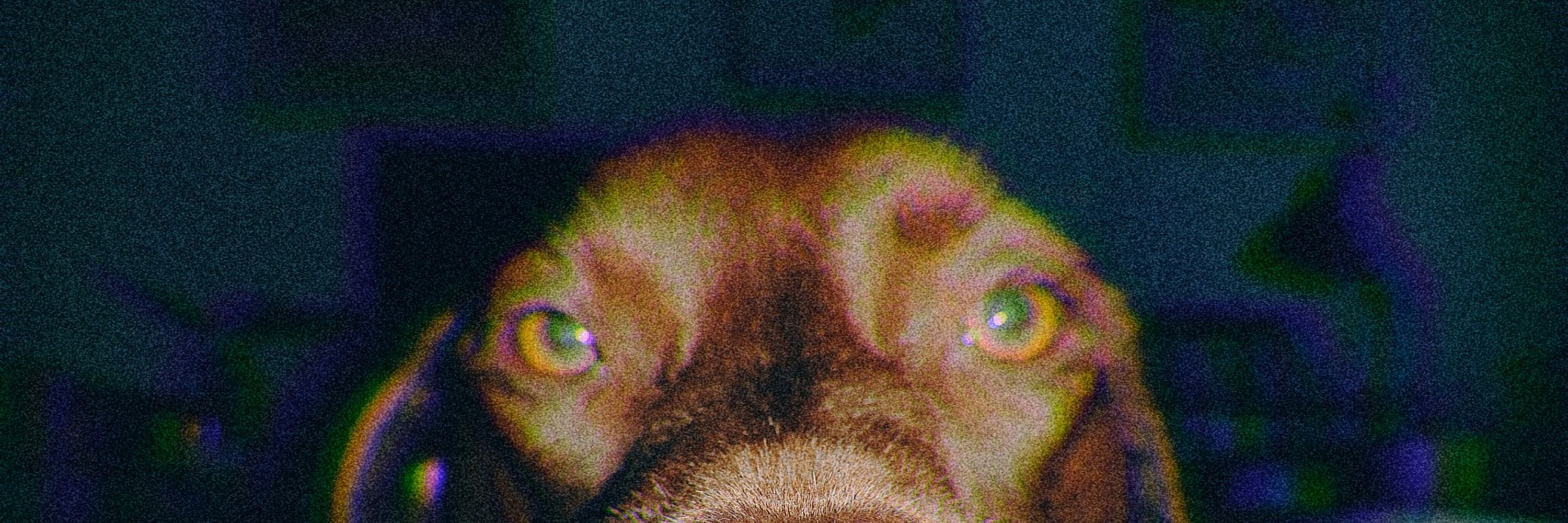 Ferguriz