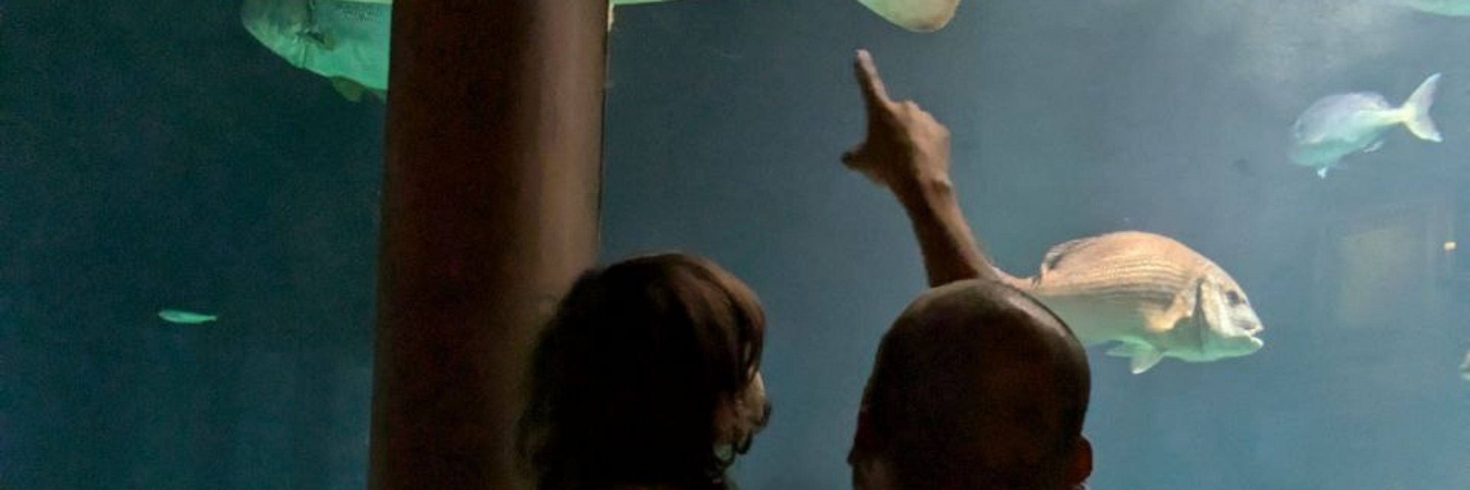 Xacobe Fernández