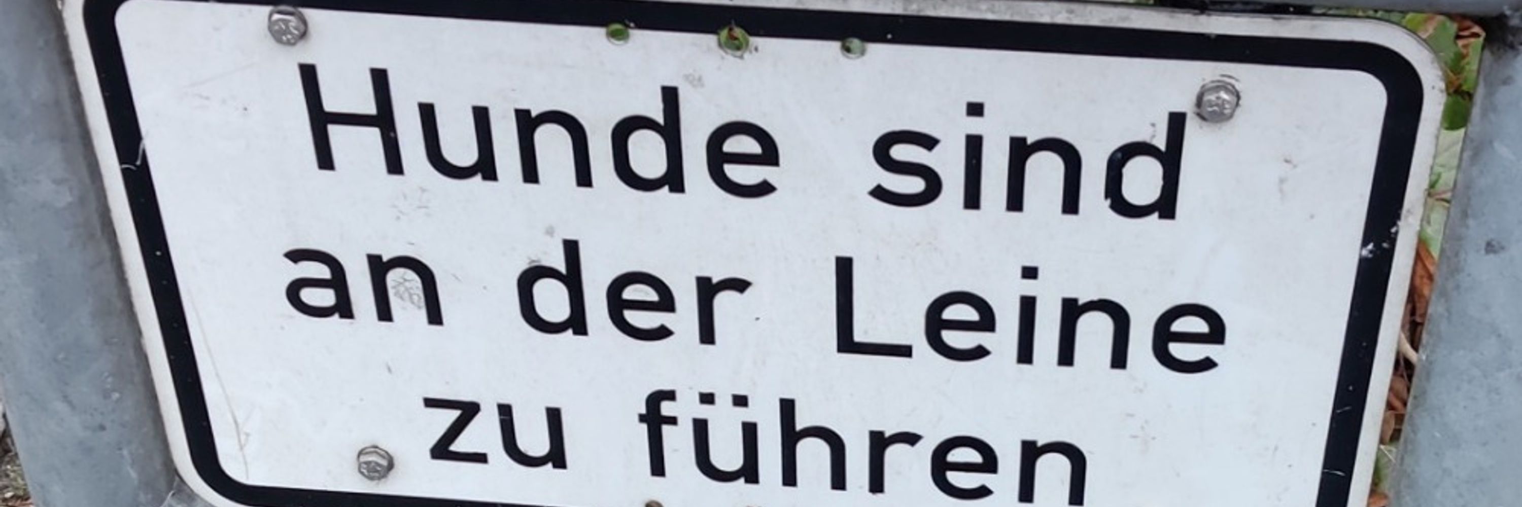 Pep 3,141...