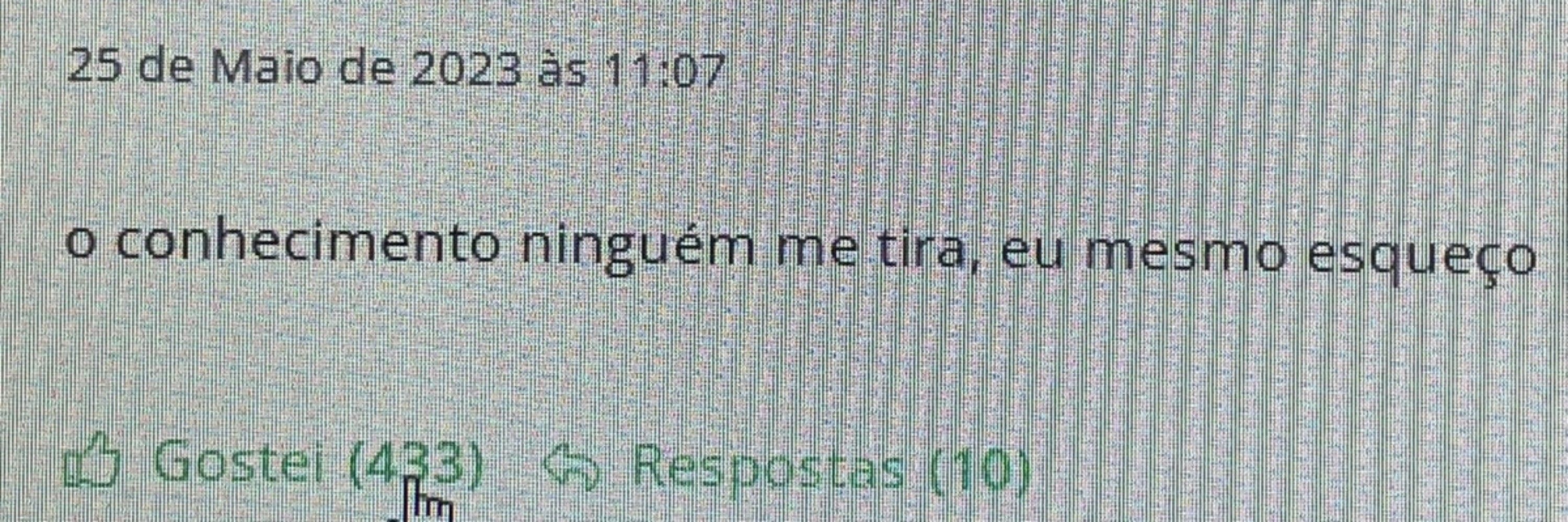 nina chalamet