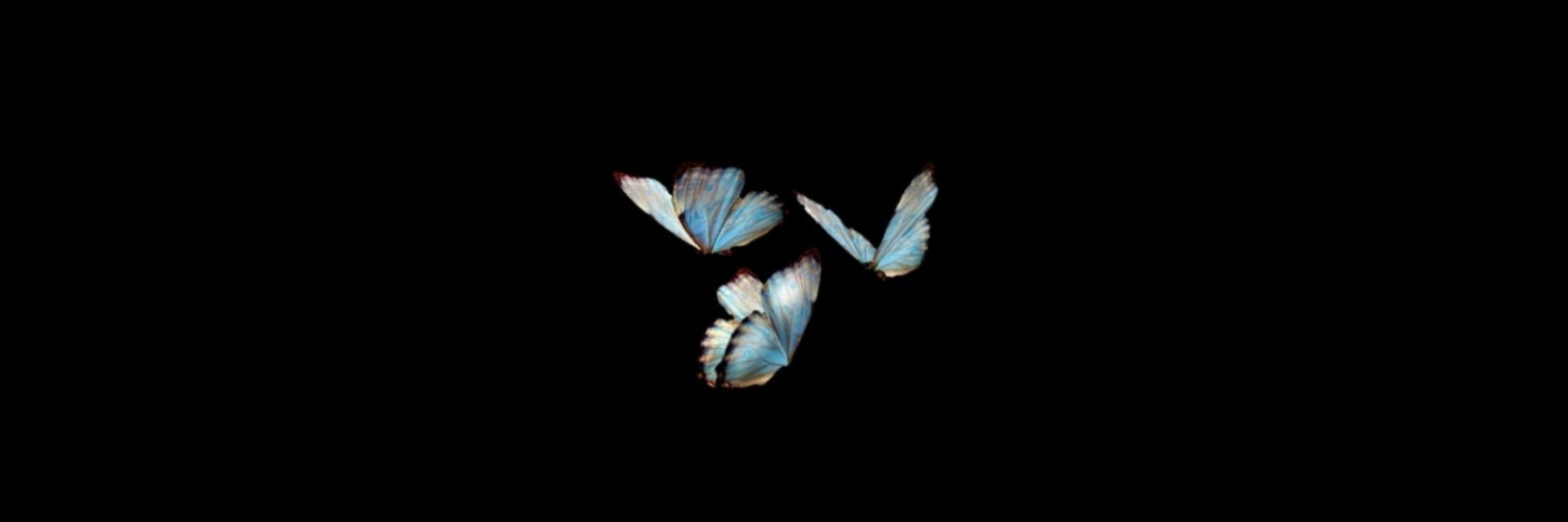 R ✨