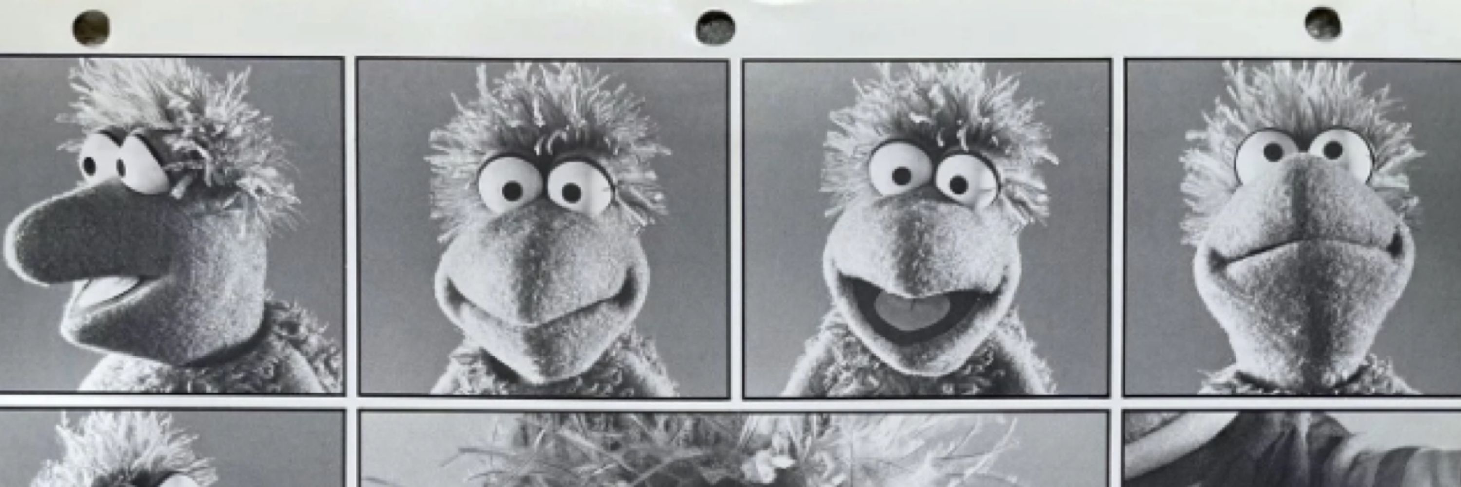 Fraggle Rock Histories