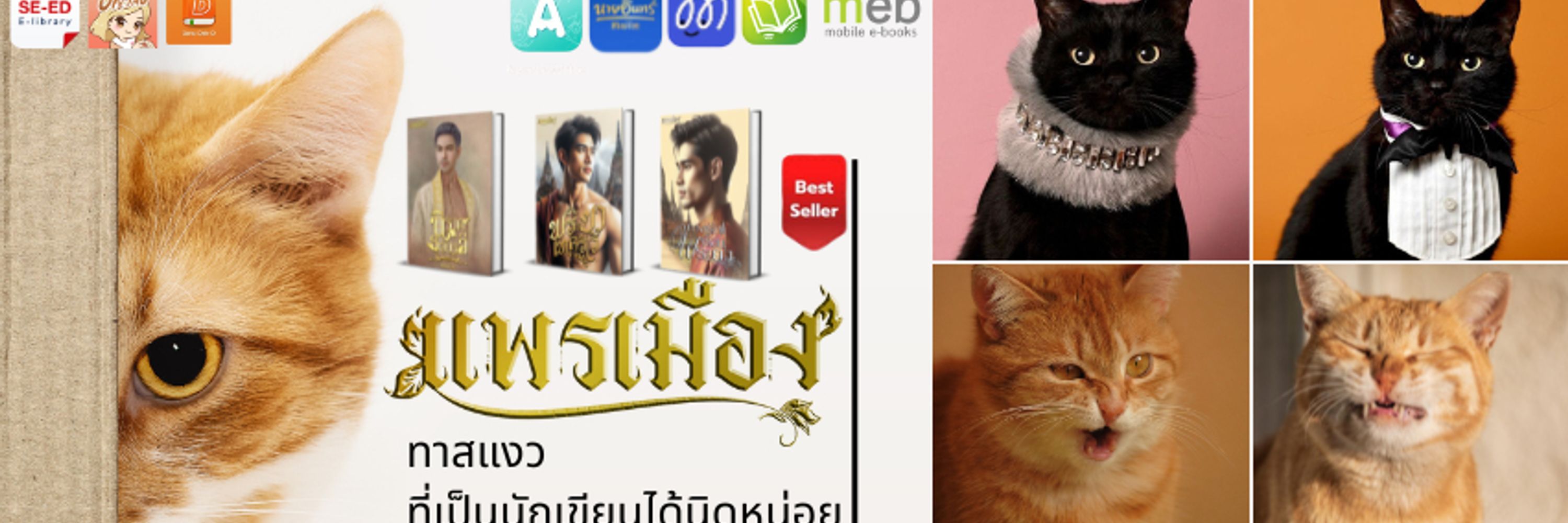 แพรเมือง นักเขียน