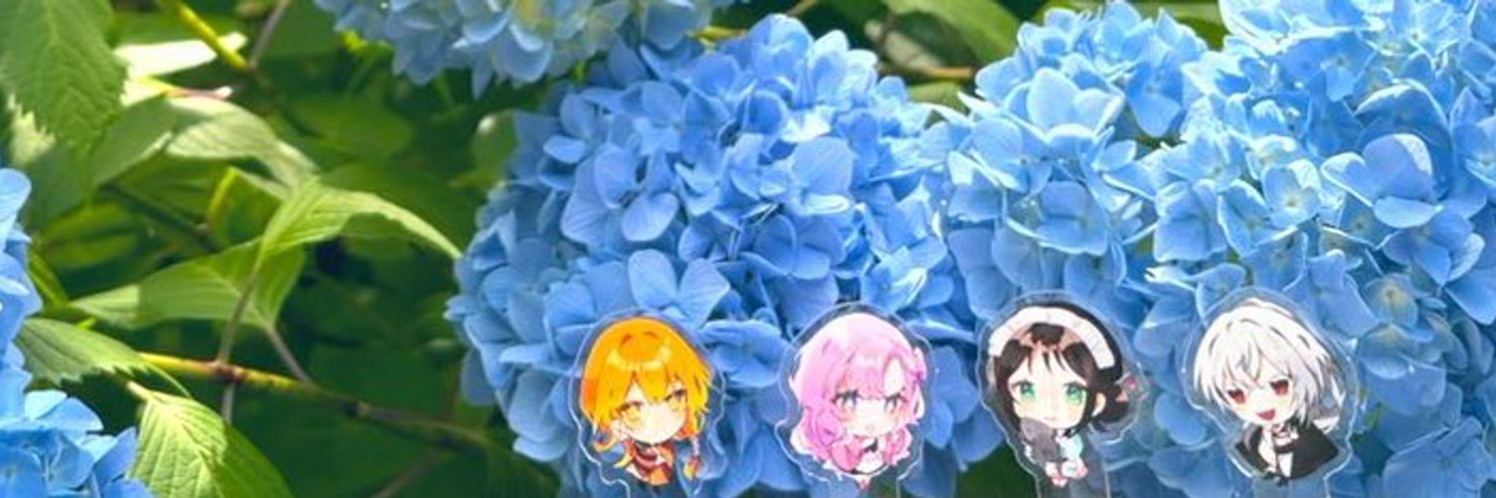 はすみ