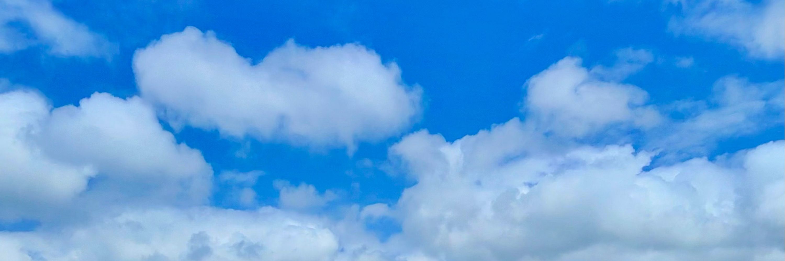 Nimbus