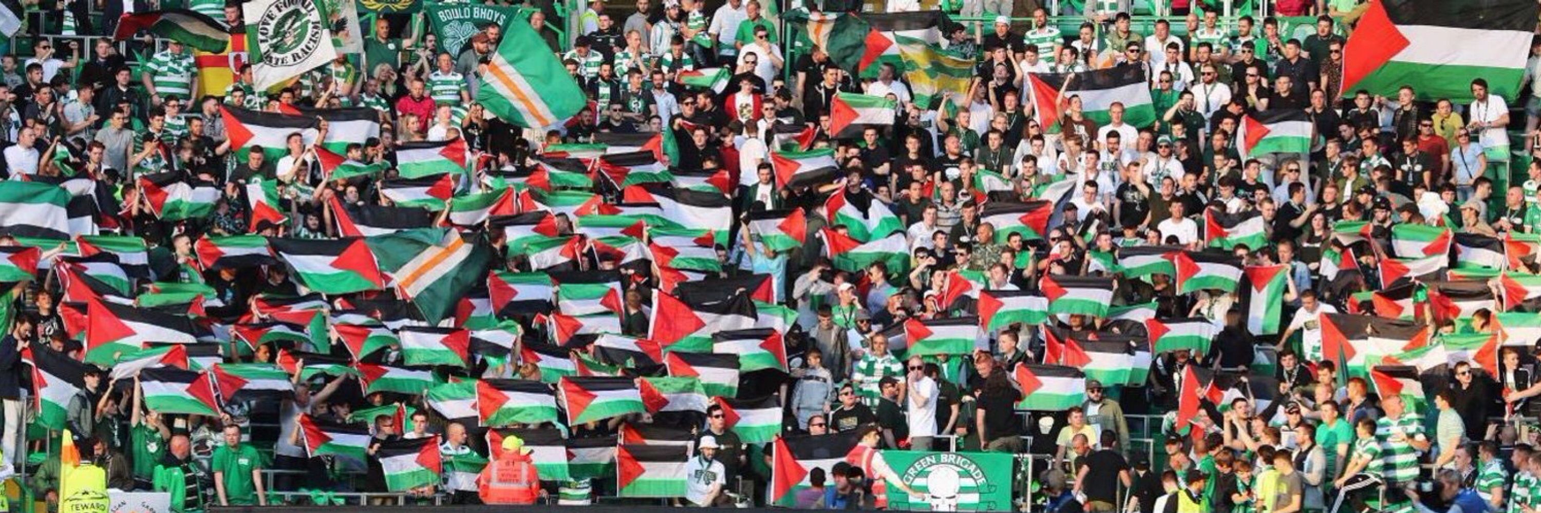 Steve 🇵🇸