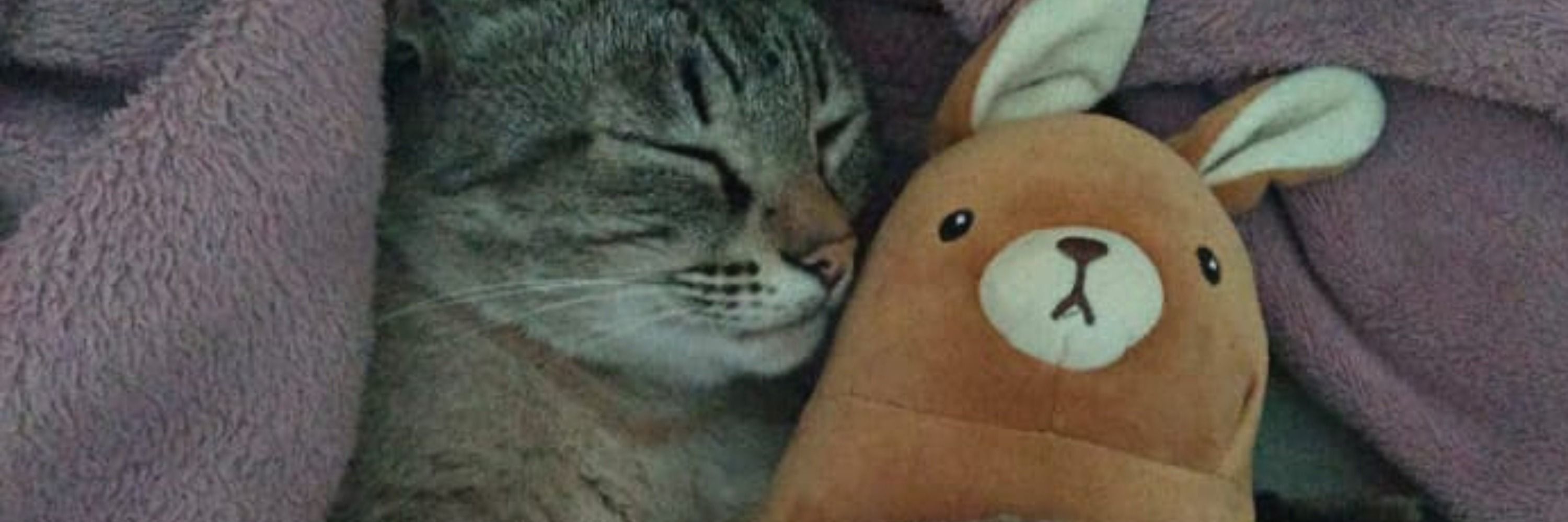 Sah