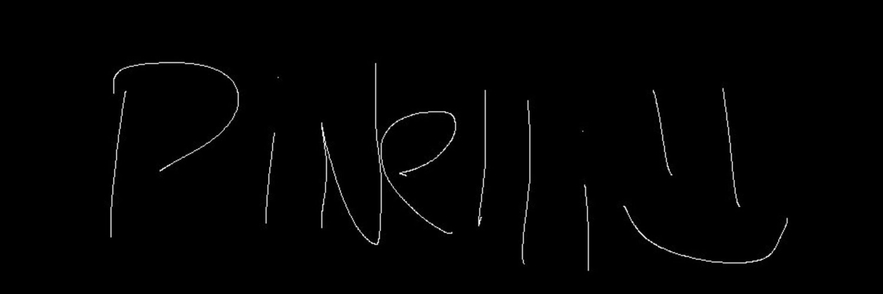  Pinellivlr