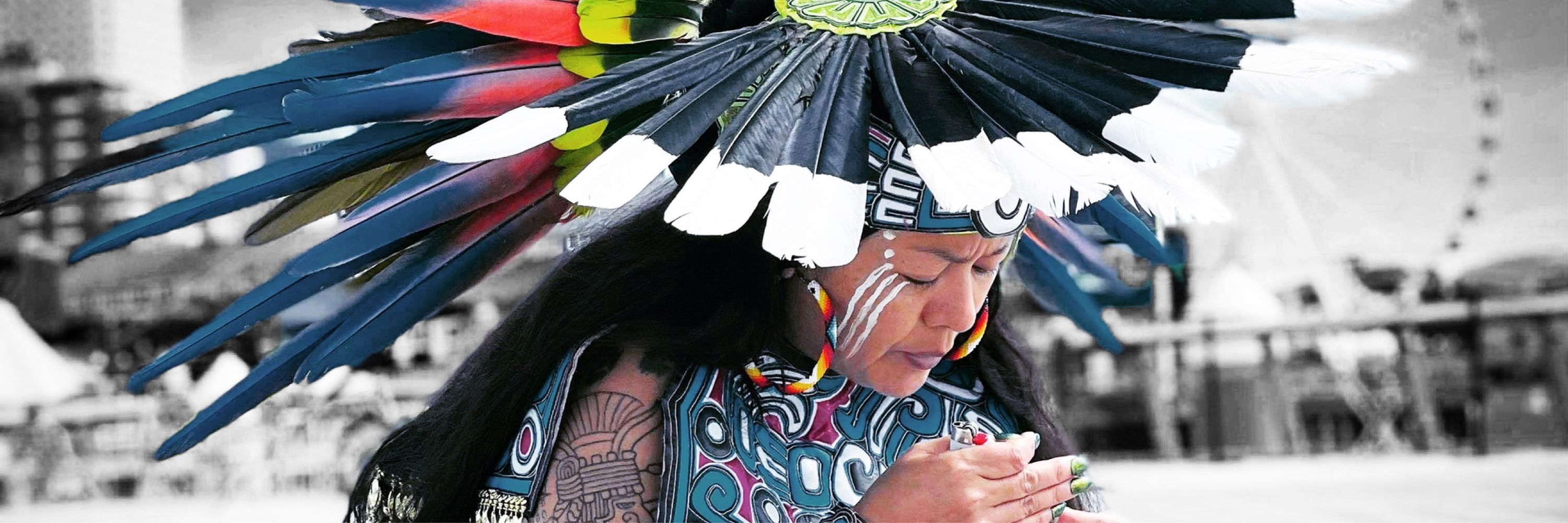 Ixtli White Hawk