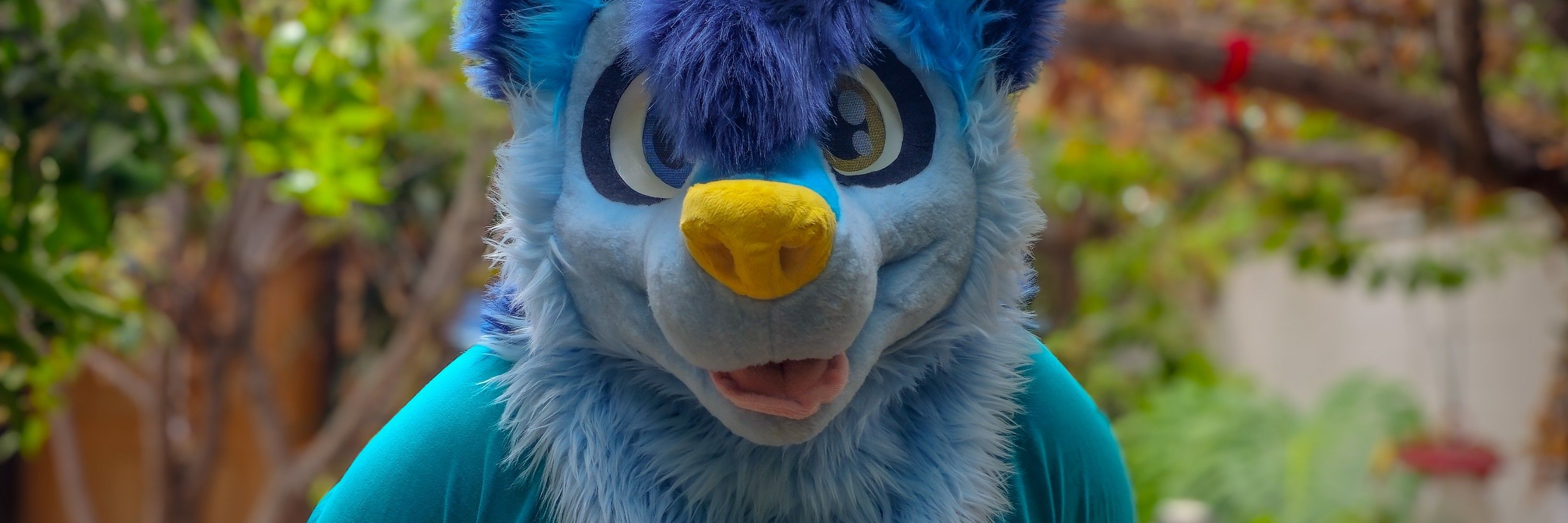 Ridian sky🔜FWA COMMS OPEN 0/?