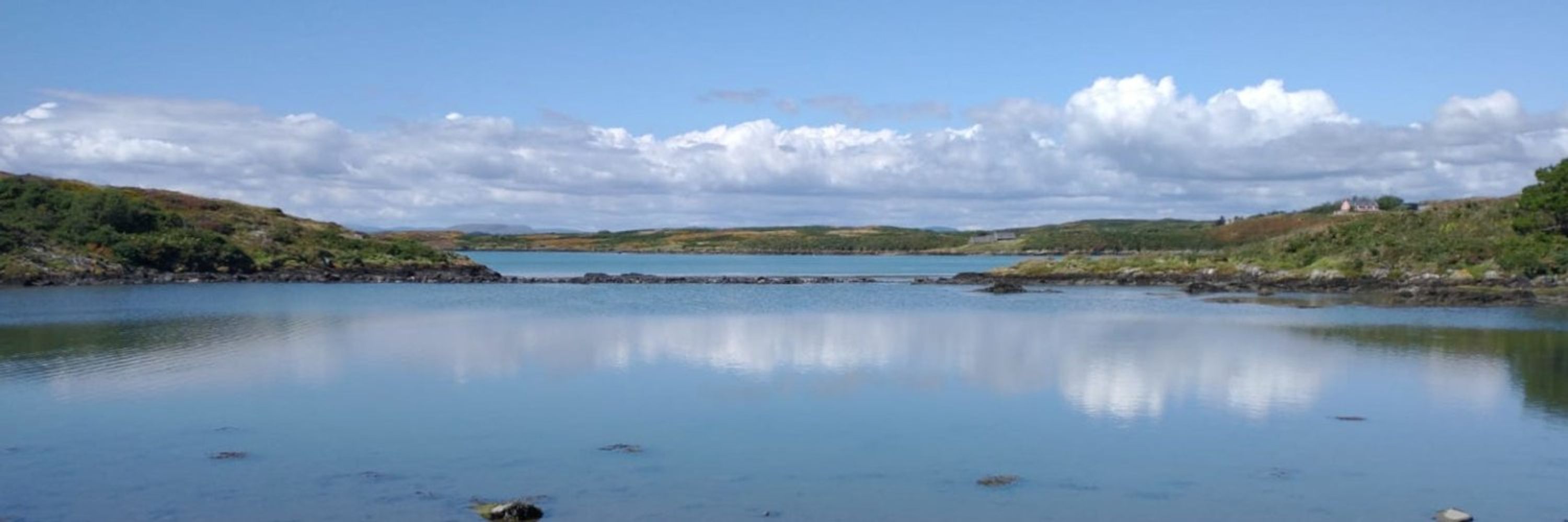 Aylwyn Scally
