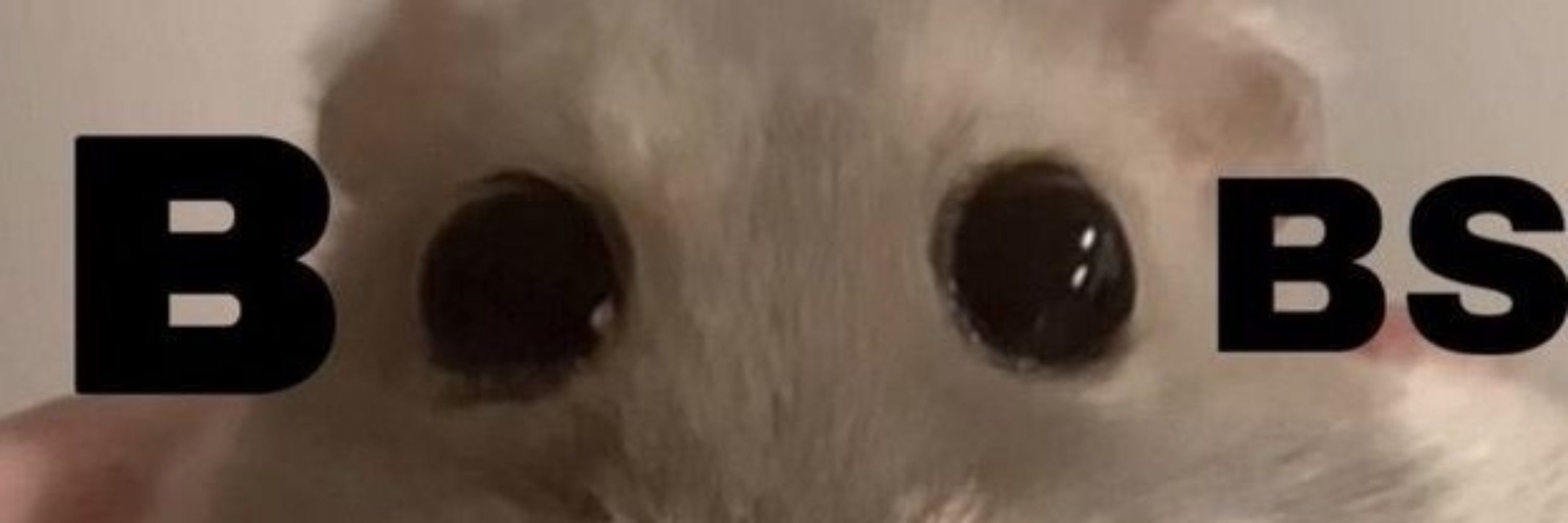 VV