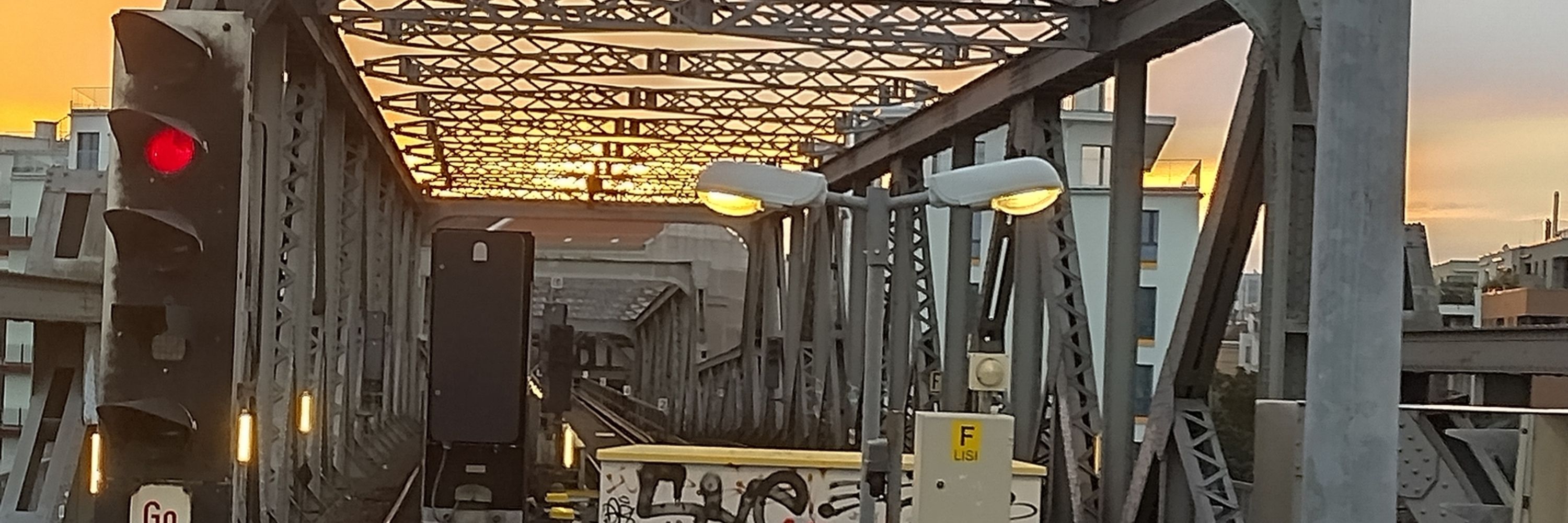 goldenesschaf